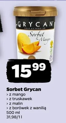 Sorbet z mango, z truskawek, z malin, z borówek z wanilią promocja w Netto