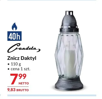 Znicz Daktyl Candela promocja w Makro