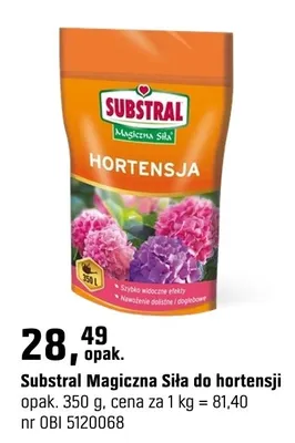 Magiczna Siła do hortensji promocja w OBI