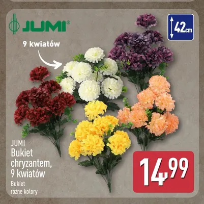 Bukiet chryzantem 9 kwiatów Jumi promocja w Aldi