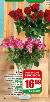Róże promocja w Dino