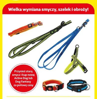 Smycze, szelki i obroże Active Dog promocja w Super Zoo