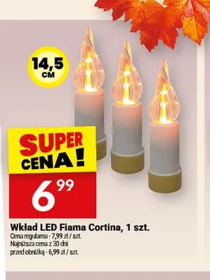 Wkład LED Fiama Cortina promocja w Twój Market