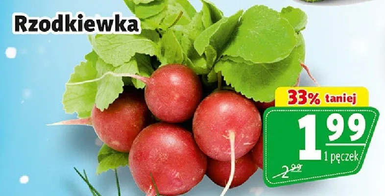 Rzodkiewka promocja w Prim Market