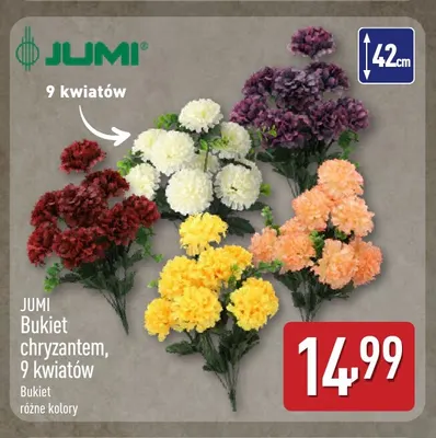 Bukiet chryzantem 9 kwiatów Jumi promocja w Aldi