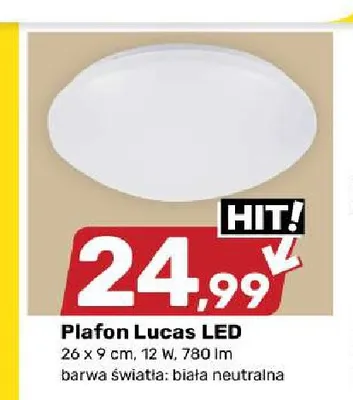 Plafon Lucas LED promocja w Bricomarche