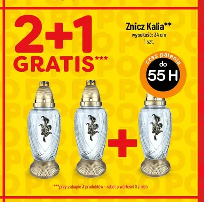 Znicz Kalia 34 cm promocja w POLOmarket