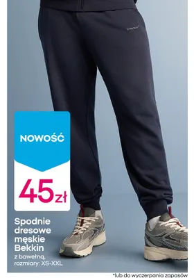 Spodnie dresowe męskie Bekkin z bawełną promocja w Pepco