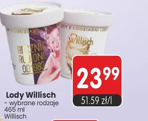Lody Willisch wybrane rodzaje promocja w Market Point