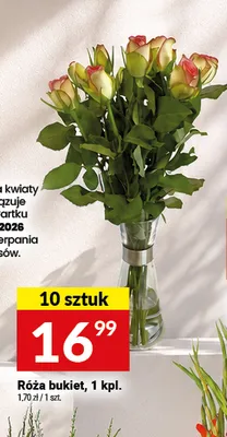 Róża bukiet promocja w Twój Market