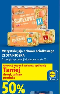 Jaja z chowu ściółkowego Złota Nioska promocja w Lidl