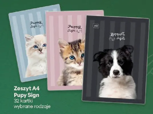 Zeszyt A4 Pupy Sign 32 kartki promocja w Delikatesy Centrum