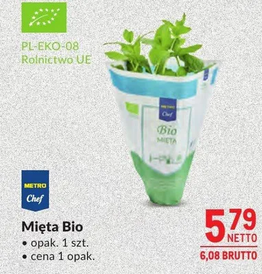 Mięta Bio promocja w Makro