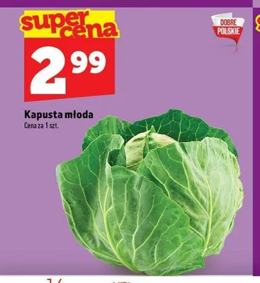 Kapusta młoda promocja w TOPAZ