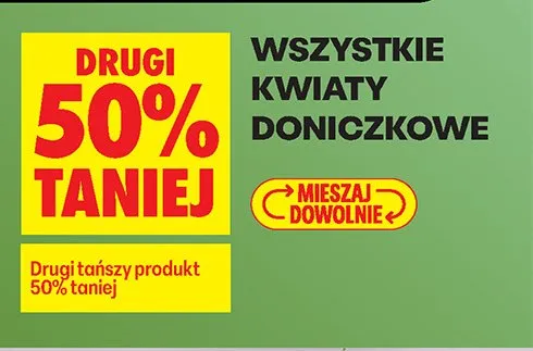 Wszystkie kwiaty doniczkowe DRUGI -50% promocja w Biedronka
