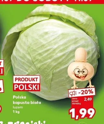 Kapusta biała polska promocja w Kaufland