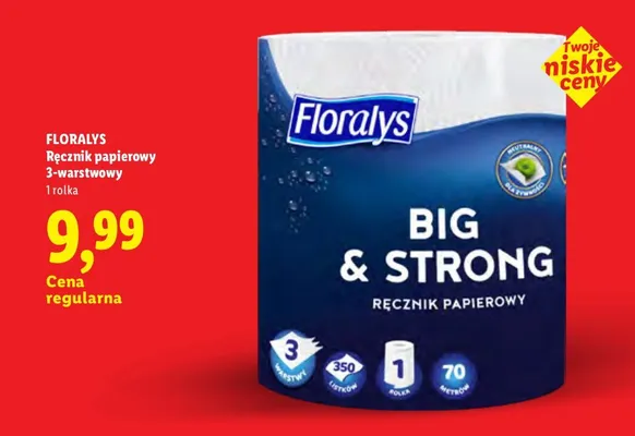 Ręcznik papierowy Floralys 3-warstwowy Big & Strong promocja w Lidl