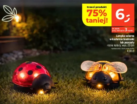 Lampka solarna w kształcie biedronki lub pszczoły różne kolory promocja w Dealz