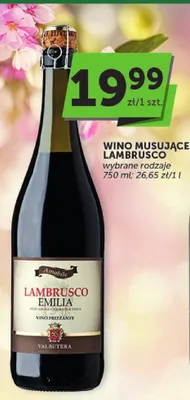 Wino musujące Lambrusco emilia promocja w ABC