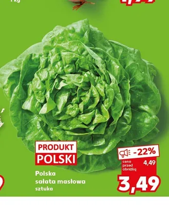 Polska sałata masłowa promocja w Kaufland