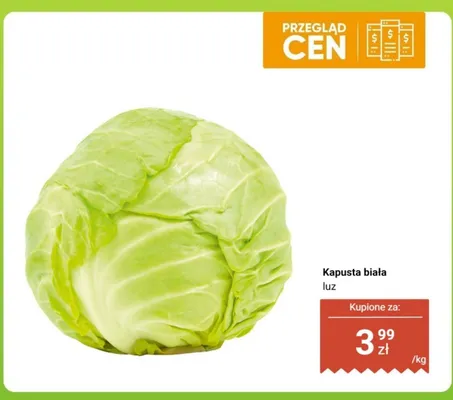 Kapusta biała luz promocja w Biedronka
