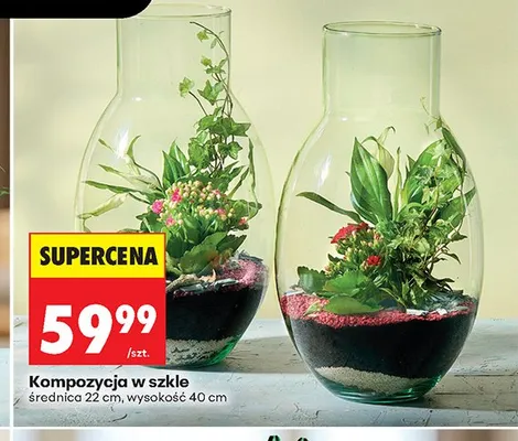 Kompozycja w szkle promocja w Biedronka