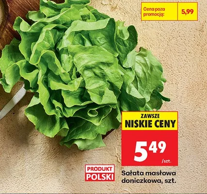 Sałata masłowa doniczkowa polska promocja w Biedronka