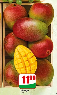 Mango promocja w Dino