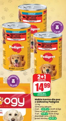 Karma dla psa z wołowiną Bellosan promocja w Dino