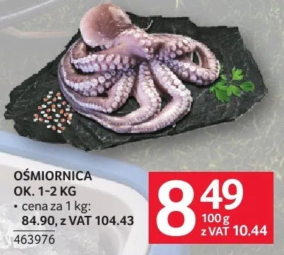 Ośmiornica ok. 1-2 kg promocja w Selgros