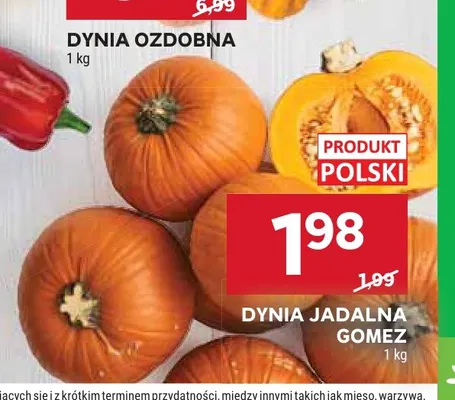Dynia jadalna Gomez promocja w Stokrotka