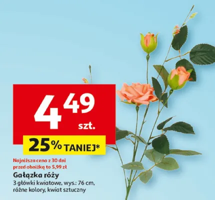Gałązka róży promocja w Auchan