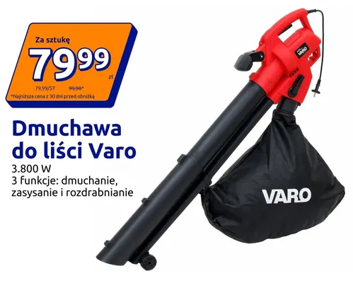 Dmuchawa do liści Varo promocja w Action