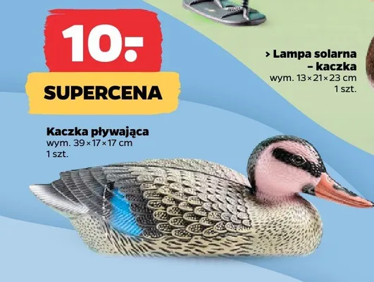 Lampa solarna - kaczka promocja w Netto