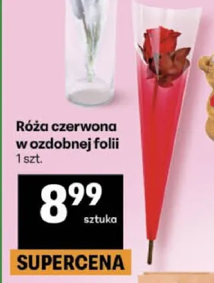 Róża czerwona w ozdobnej folii promocja w Delikatesy Centrum