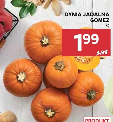 Dynia jadalna Gomez promocja w Stokrotka