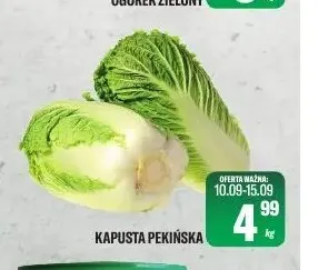Kapusta pekińska promocja w Tomi Markt
