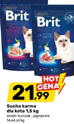 Sucha karma dla kota 1,5 kg promocja w Bricomarche