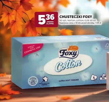 Chusteczki Foxy Cotton promocja w Stokrotka