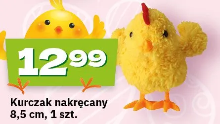 Kurczak nakręcany promocja w Twój Market