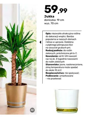 Jukka promocja w Bricomarche