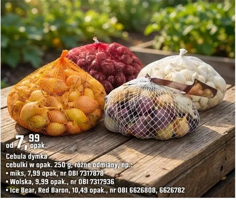 Cebula dymka cebulki (250 g) miks promocja w OBI