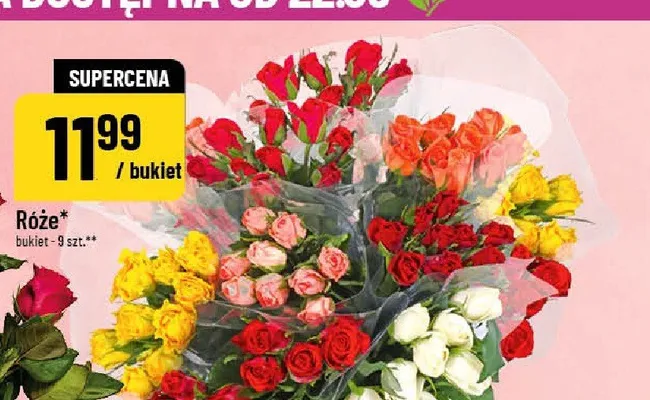 Róże promocja w POLOmarket