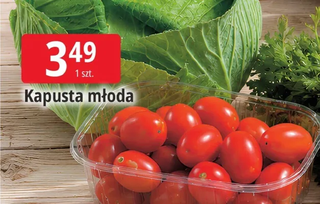 Kapusta młoda promocja w Leclerc