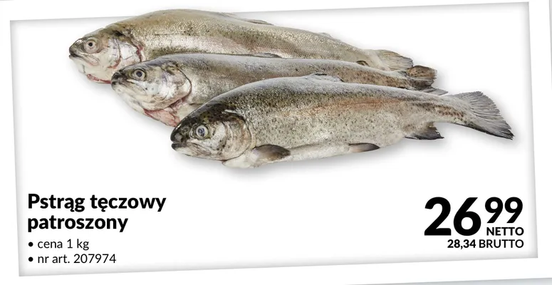 Pstrąg tęczowy patroszony promocja w Makro