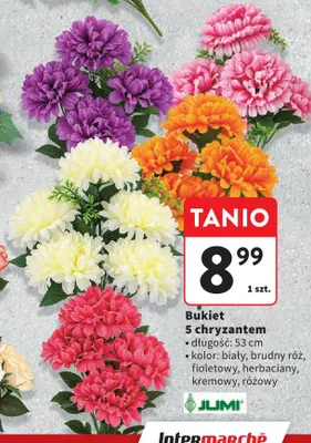 Bukiet 5 chryzantem Jumi promocja w Intermarche