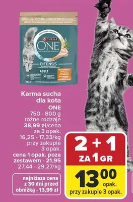 Karma sucha dla kota ONE 750-800 g różne rodzaje promocja w Carrefour