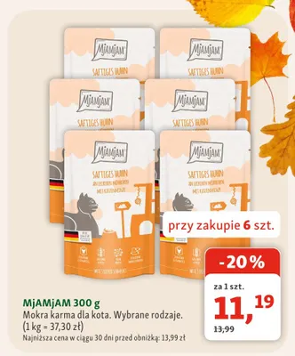 Mokra karma dla kota MjAMjAM promocja w MAXI ZOO