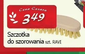 Szczotka do szorowania Ravi promocja w CEZAR Delikatesy