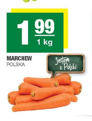 Marchew polska promocja w SPAR